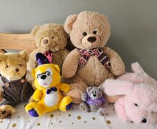 Teddys