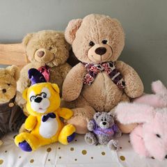 Teddys