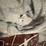 Pink Floyd hoodie Image 3