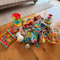 Assortment of Toys 0m+