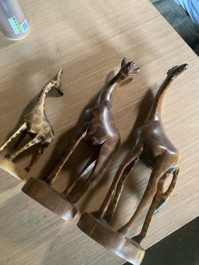 Set of giraffes