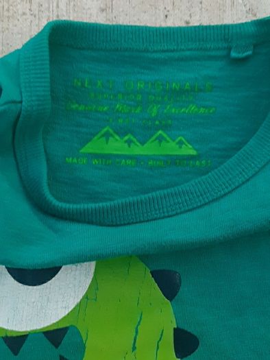 NEXT boys dinosaur tshirt size 8 years