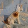 Vintage dog figurine Image 3