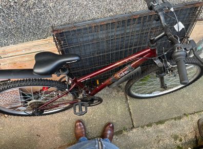 Apolo cipher bike