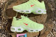 Get Rare Premium Nike Air Max Plus TN