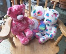 3 build a bears