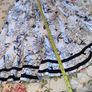 Skirt designer Image 3