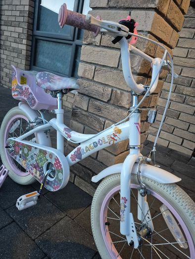 Bike 16