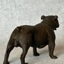 Bulldog - Cold Painted Bronze, Signed Image 8