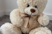 teddy bear