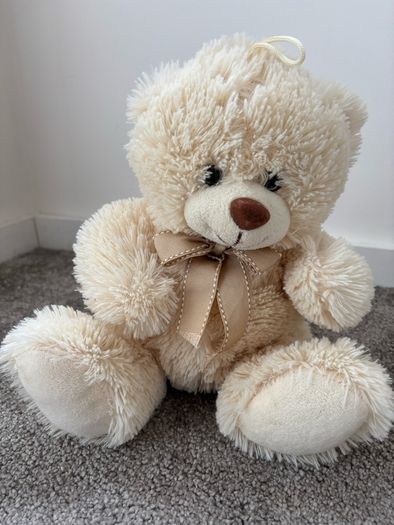 teddy bear