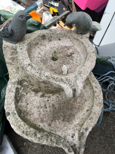 bird bath