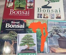 5 Bonsai Books