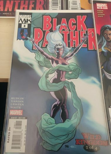 Black Panther (2005) lot