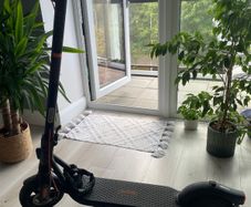 Segway Ninebot F2 Pro E