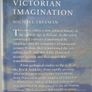 SALE!  RAILWAYS and the Victorian Imagination by Michael Freeman Image 8