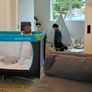 Hauck Dream'n Play Travel Cot Image 3