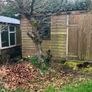 Shed Image 4