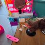 Barbie dolls and accessories (Hair Salon, Bike, caravan) Image 2