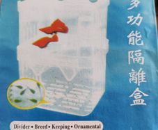 Breeding Box