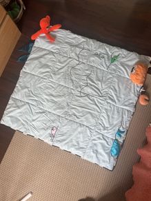 play mat
