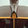 Daion 12-String Acoustic Guitar Image 5