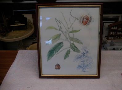 vintage print