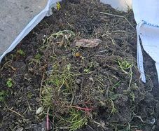 Earth/topsoil