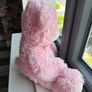 teddy Image 5