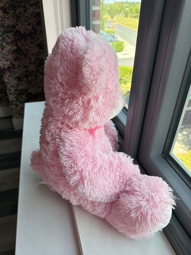 teddy