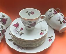 18 Piece Incomplete Cmielow porcelain Teaset made in Poland Vintage 50s 60s Old Rose Design Teaset HTF