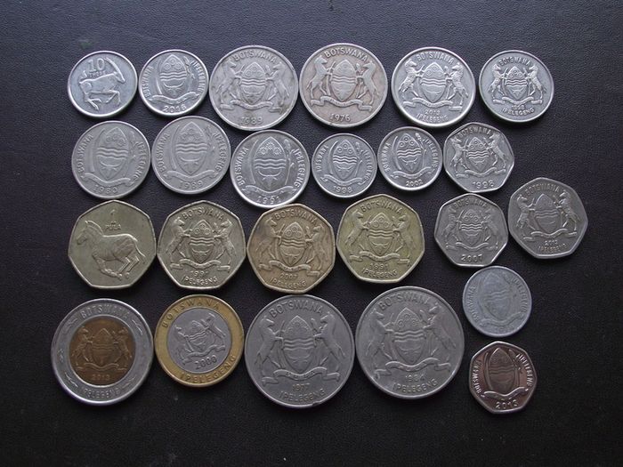 A Lot of 130 grams coins from Botswana (1976-2013)