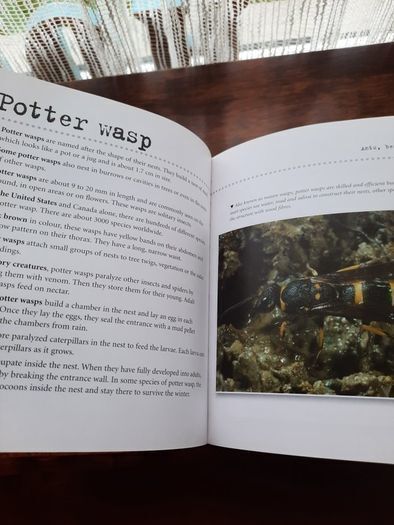 Visual Factfinder:Bugs 2008