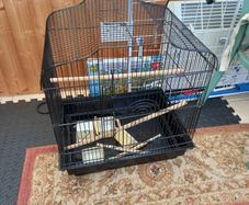bird cage