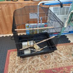 bird cage