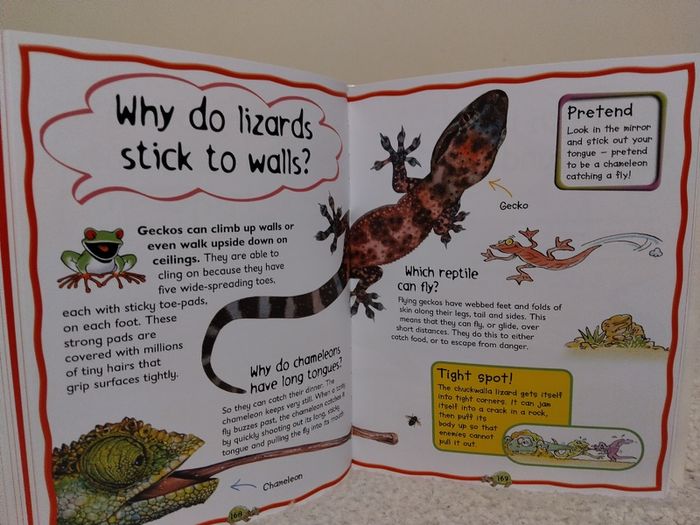 My First Question And Answer Educational Book