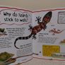 My First Question And Answer Educational Book Image 8
