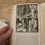 The Condition Of Man.  By Lewis Mumford. FIRST EDITION  1944 Hardback In Fair Condition.  See Photos For Same. Image 10