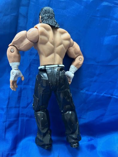 wrestler Matt hardy