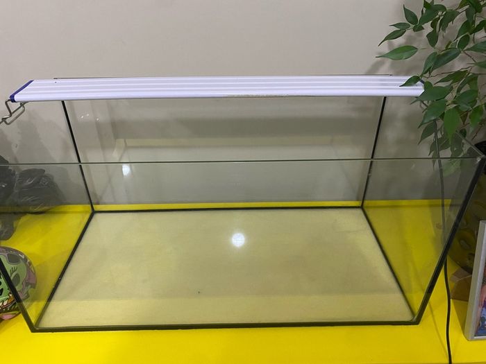 Fish tank