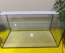 Fish tank