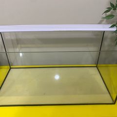 Fish tank