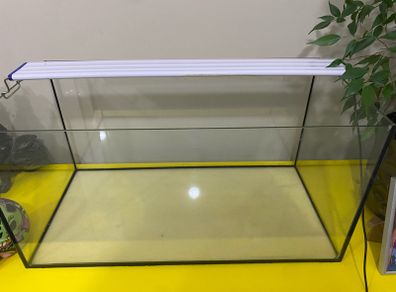 Fish tank