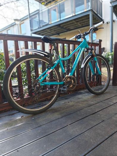 Procycle Vogue bicycle