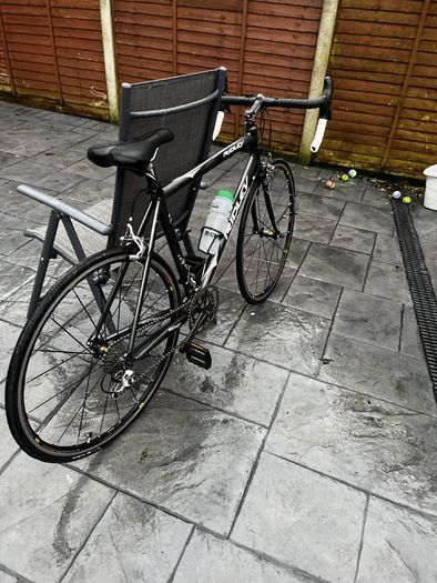ridley triton