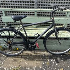 Ammaco Bike