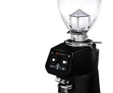 Grinder Fiorenzato F64 Evo Pro