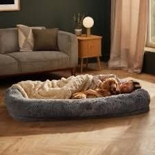 Human pet bed