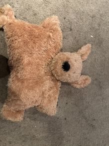 Large Jellycat dog