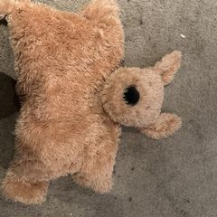 Large Jellycat dog